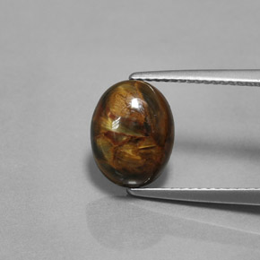 Pietersita Multicolor natural de 2.99 ct, Corte Óvalo, Opaco