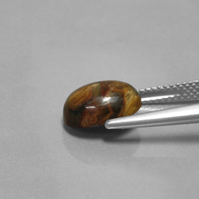 Pietersita Multicolor natural de 2.99 ct, Corte Óvalo, Opaco