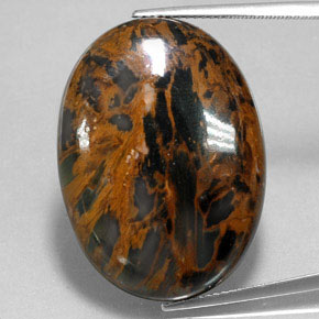 Pietersita Multicolor natural de 38.54 ct, Corte Óvalo, Opaco