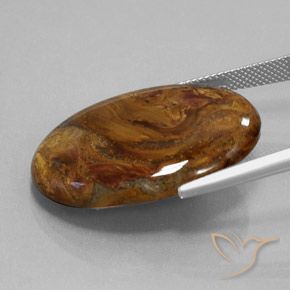 Pietersita Marrón medio natural de 25.45 ct, Ovalada, Opaco