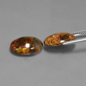 Gemas de Pietersita Multicolor natural de  ct, Corte Óvalo, Opaco