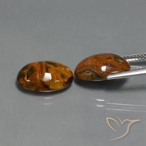 Gemas de Pietersita Multicolor natural de 8.91 ct, Ovalada, Opaco