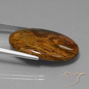 Pietersita Multicolor natural de 23.40 ct, Ovalada, Opaco