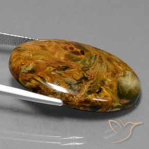 Pietersita Multicolor natural de 28.81 ct, Ovalada, Opaco