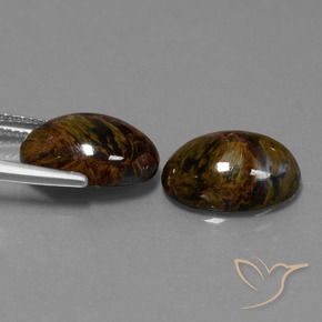 Gemas de Pietersita Multicolor natural de 10.01 ct, Ovalada, Opaco