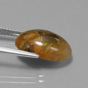 Pietersita Multicolor natural de 6.69 ct, Corte Óvalo, Opaco