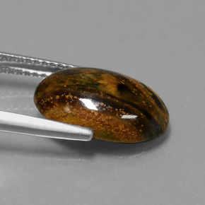 Pietersita Multicolor natural de 3.99 ct, Corte Óvalo, Opaco