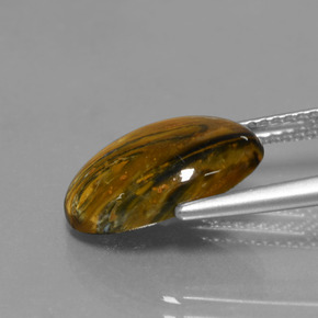 Pietersita Multicolor natural de 3.89 ct, Corte Óvalo, Opaco