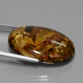 Pietersita Multicolor natural de 37.98 ct, Corte Óvalo, Opaco