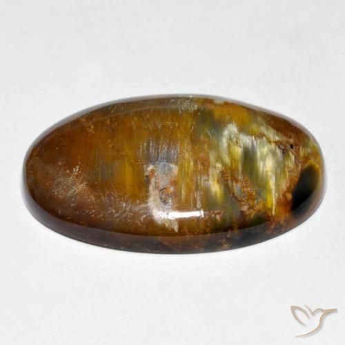 Pietersita Multicolor natural de 18.70 ct, Ovalada, Opaco