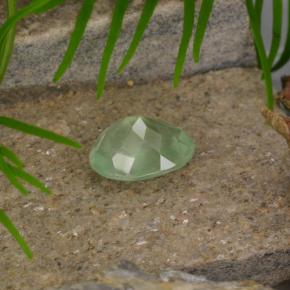 Prehnita verde natural de 4,81 ct, corte óvalo, translúcido