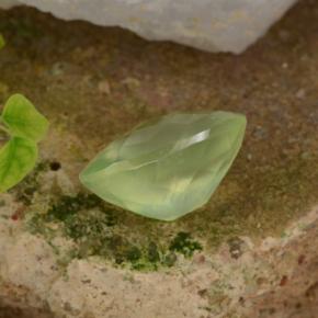 Prehnita verde natural de 10,07 ct, corte óvalo, translúcido
