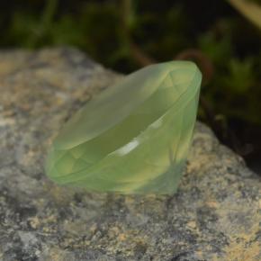 Prehnita verde natural de 9,45 ct, corte redondo, translúcido