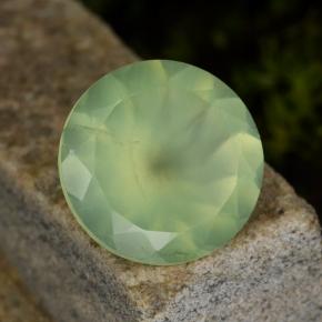 Prehnita verde natural de 8,70 ct, corte redondo, translúcido
