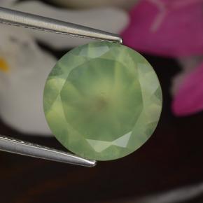 Prehnita verde natural de 5,50 ct, corte redondo, translúcido
