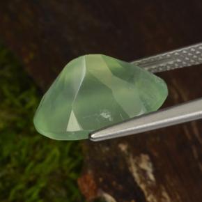 Prehnita verde natural de 6,16 ct, corte óvalo, transparente
