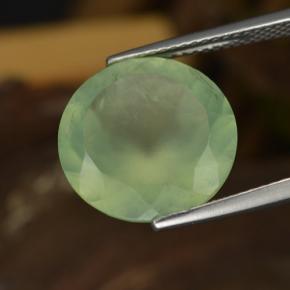 Prehnita verde natural de 9,04 ct, corte redondo, translúcido