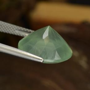 Prehnita verde natural de 9,04 ct, corte redondo, translúcido