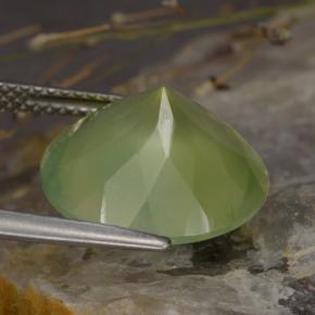 Prehnita verde natural de 8,86 ct, corte redondo, translúcido