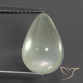 3.98ct Natural Warm Green     Prehnite, En forma de pera, Transparente / Translúcido