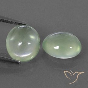 3.53ctw Natural Pale Yellowish Green    Prehnite, Ovalada, Transparente / Translúcido