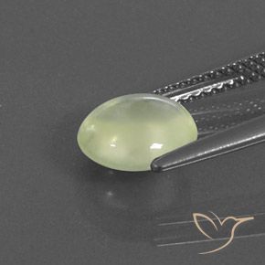 Prehnite Olive Green  natural de 1.84 ct, Ovalada, Transparente