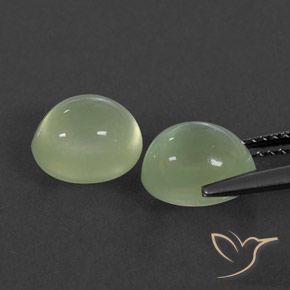 Gemas de Prehnite Yellow Green  natural de 5.48 ct, Ovalada, Transparente / Translúcido
