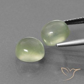 Gemas de Prehnite Verde grisáceo natural de 5.93 ct, Redondo, Transparente