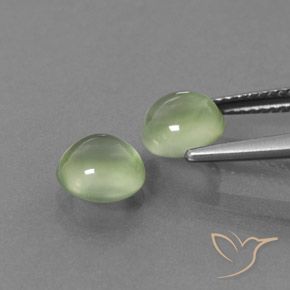 Gemas de Prehnite Verde amarillo natural de 3.24 ct, Redondo, Transparente