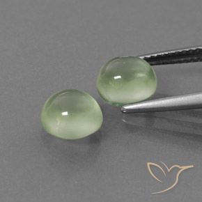 Gemas de Prehnite Verde amarillo natural de 3.67 ct, Redondo, Transparente