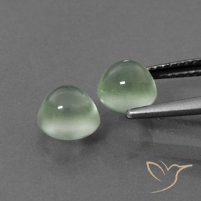 Gemas de Prehnite Verde amarillento natural de 3.09 ct, Redondo, Transparente