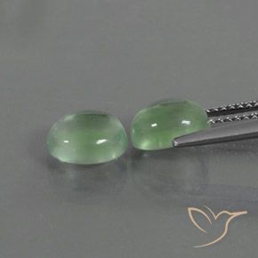 Gemas de Prehnite Verde cálido natural de 3.82 ct, Ovalada, Transparente