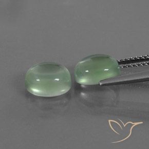 Gemas de Prehnite Verde cálido natural de 4.04 ct, Ovalada, Transparente