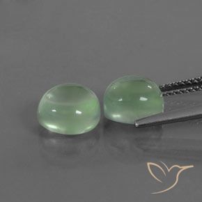 Gemas de Prehnite Verde cálido natural de 4.79 ct, Ovalada, Transparente