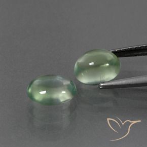 Gemas de Prehnite Verde claro natural de 3.59 ct, Ovalada, Transparente