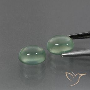 Gemas de Prehnite Verde cálido natural de 3.23 ct, Ovalada, Transparente