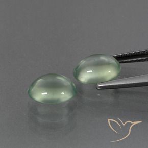 Gemas de Prehnite Verde claro natural de 3.11 ct, Ovalada, Transparente