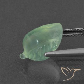 Prehnite Verde pino claro natural de 5.57 ct, Elegante, Translúcido