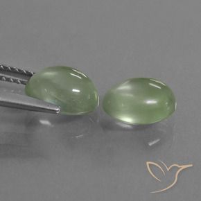 Gemas de Prehnite Verde cálido natural de 3.79 ct, Ovalada, Transparente