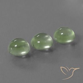 Gemas de Prehnite Verde amarillo natural de 5.89 ct, Redondo, Transparente