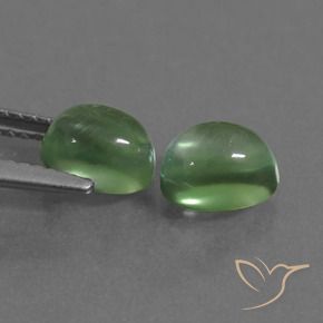 Gemas de Prehnite Verde cálido natural de 2.68 ct, Ovalada, Transparente