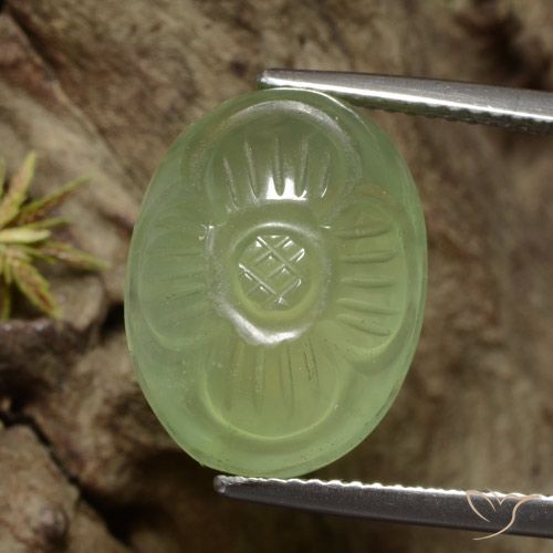 12.53ct Natural Verde amarillo Prehnite, Corte Flor, Translúcido