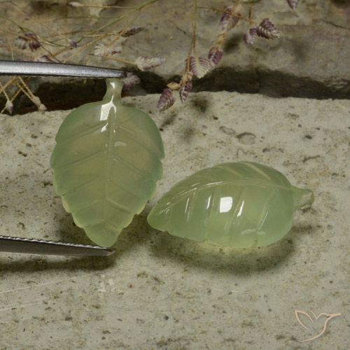 14.13ctw Natural Verde pera pálido Prehnite, Corte Flor, Translúcido