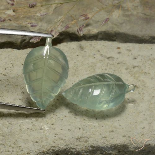 16.04ctw Natural Verde muy claro Prehnite, Corte Flor, Translúcido
