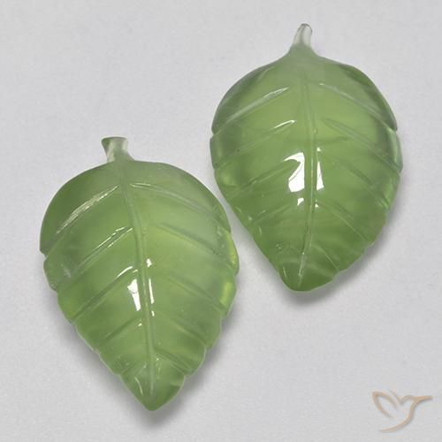Gemas de Prehnite Verde cálido natural de 15.75 ct, Elegante, Transparente