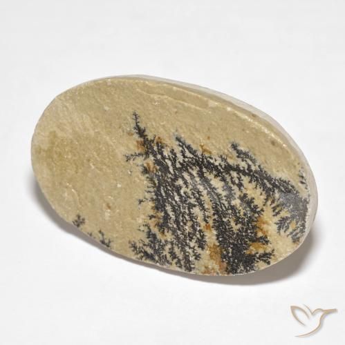 Dendrita de psilomelano Multicolor natural de 34.95 ct, Ovalada, Opaco