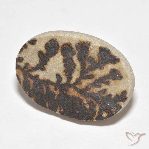 Dendrita de psilomelano Multicolor natural de 26.52 ct, Ovalada, Opaco