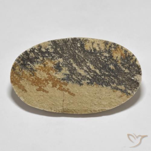 49.70ct Natural Multicolor Dendrita de psilomelano, Ovalada, Opaco