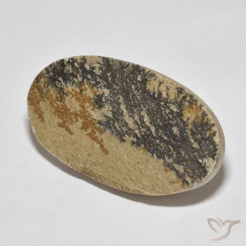 Dendrita de psilomelano Multicolor natural de 49.70 ct, Ovalada, Opaco
