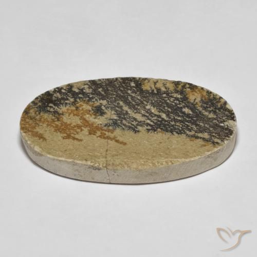 Dendrita de psilomelano Multicolor natural de 49.70 ct, Ovalada, Opaco